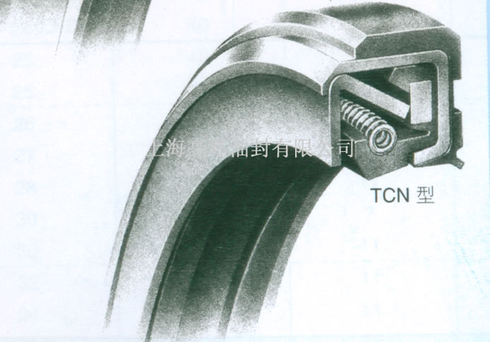 TCN�͹Ǽ��ͷ�����D